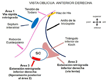 Figura 3